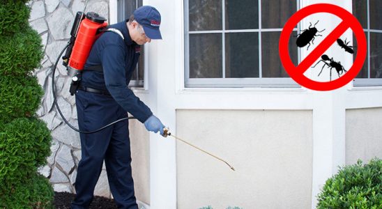 Düzce Akrep İlaçlama böcek ilaçlama ve haşere kontrolü — ilaclama-tr.com